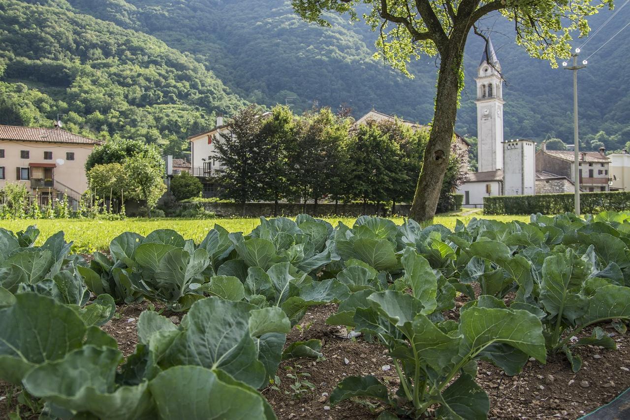 Locanda Solagna Quero エクステリア 写真